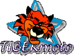 tigermoto